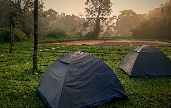 Two dome-shaped tents sit amidst a serene wooded area, perfect for camping and hiking.