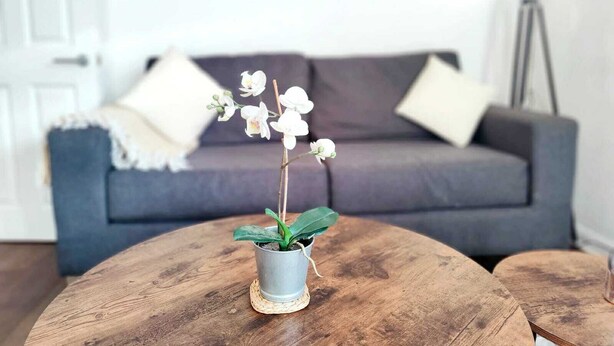 Una mesa de centro redonda de madera con una orquídea en maceta en el centro.