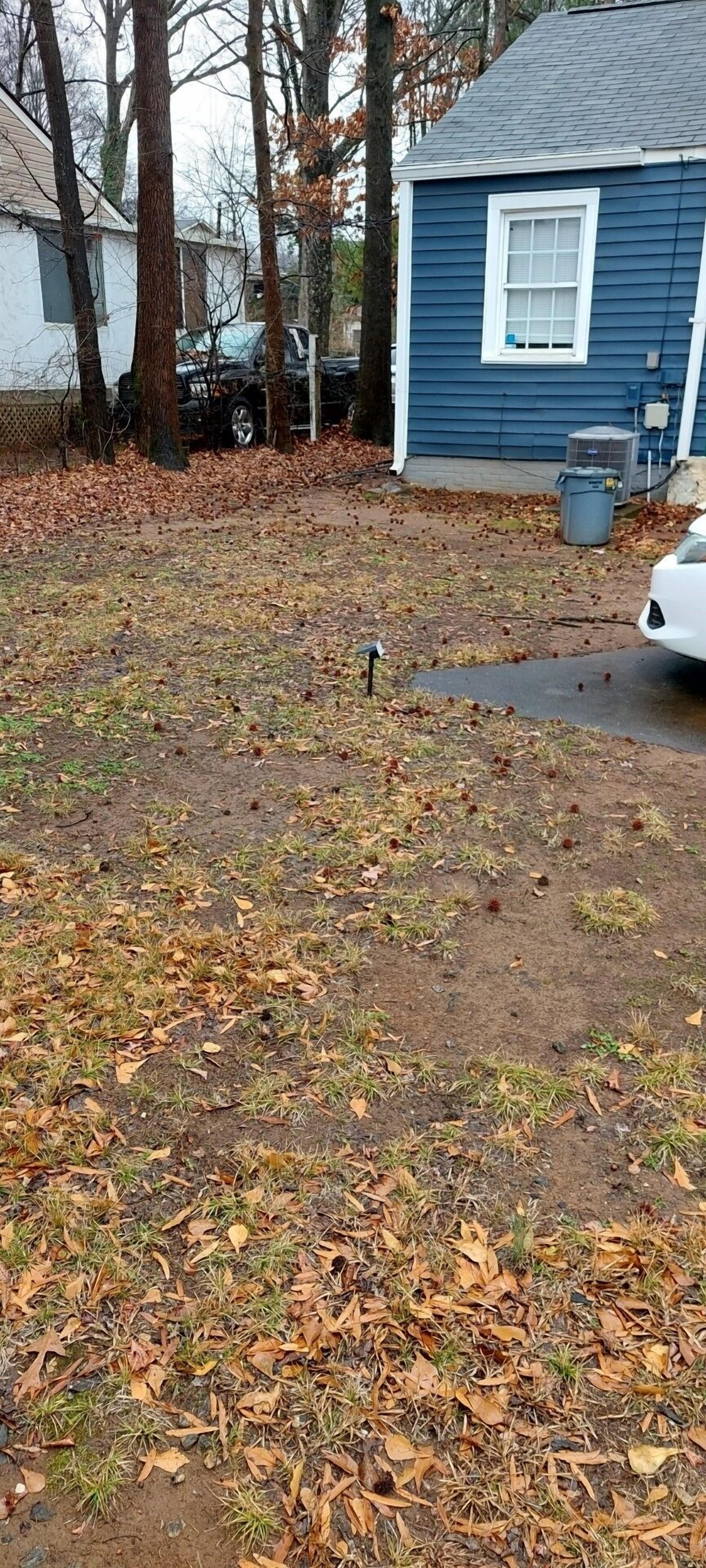Un patio con césped seco y hojas caídas, una casa azul y un coche blanco estacionado en la entrada.