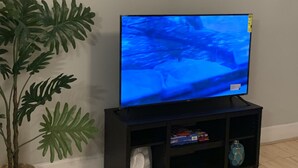 A flat-screen TV on a black stand, a large white floral painting above it, and a Monstera plant to the left. - Be our guest BOHO 2.0 (Charlotte)