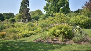 A garden with various plants and trees, a grassy area, and a fence. - City Centre Chichester Apartment, Peaceful Chichester Retreat, Sleeps 2 (Chichester)