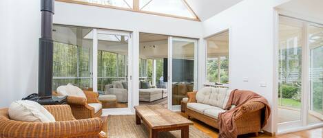 Televisor intel·ligent, llar de foc, reproductor de DVD i llibres