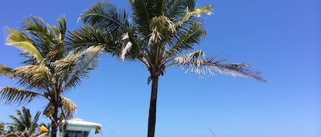 在海滩