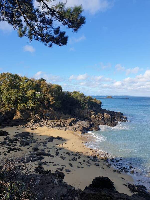 Unclassified image, 1 of 16, button