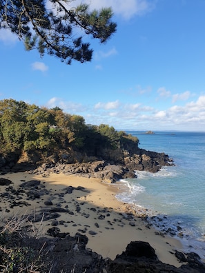 Paisagem costeira com falésias rochosas, uma praia de areia e céu azul límpido.