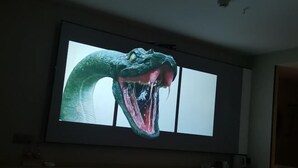 Un televisor mostrando una imagen grande de un dinosaurio.