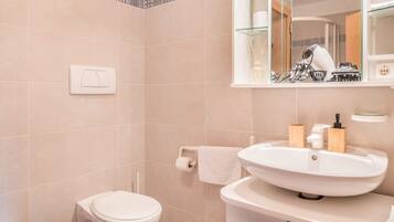 Shower, hair dryer, towels