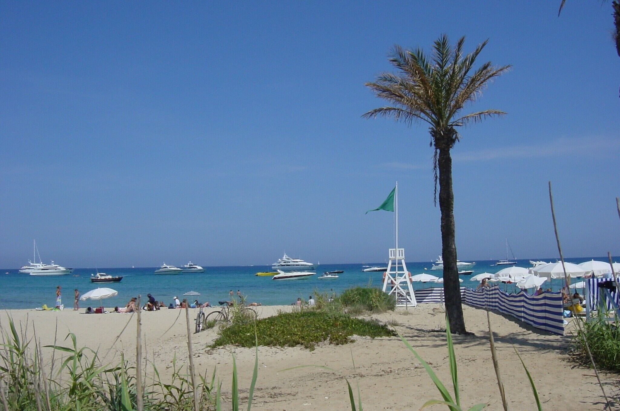 Een strand met een palmboom, een reddepost en verschillende boten op het water.