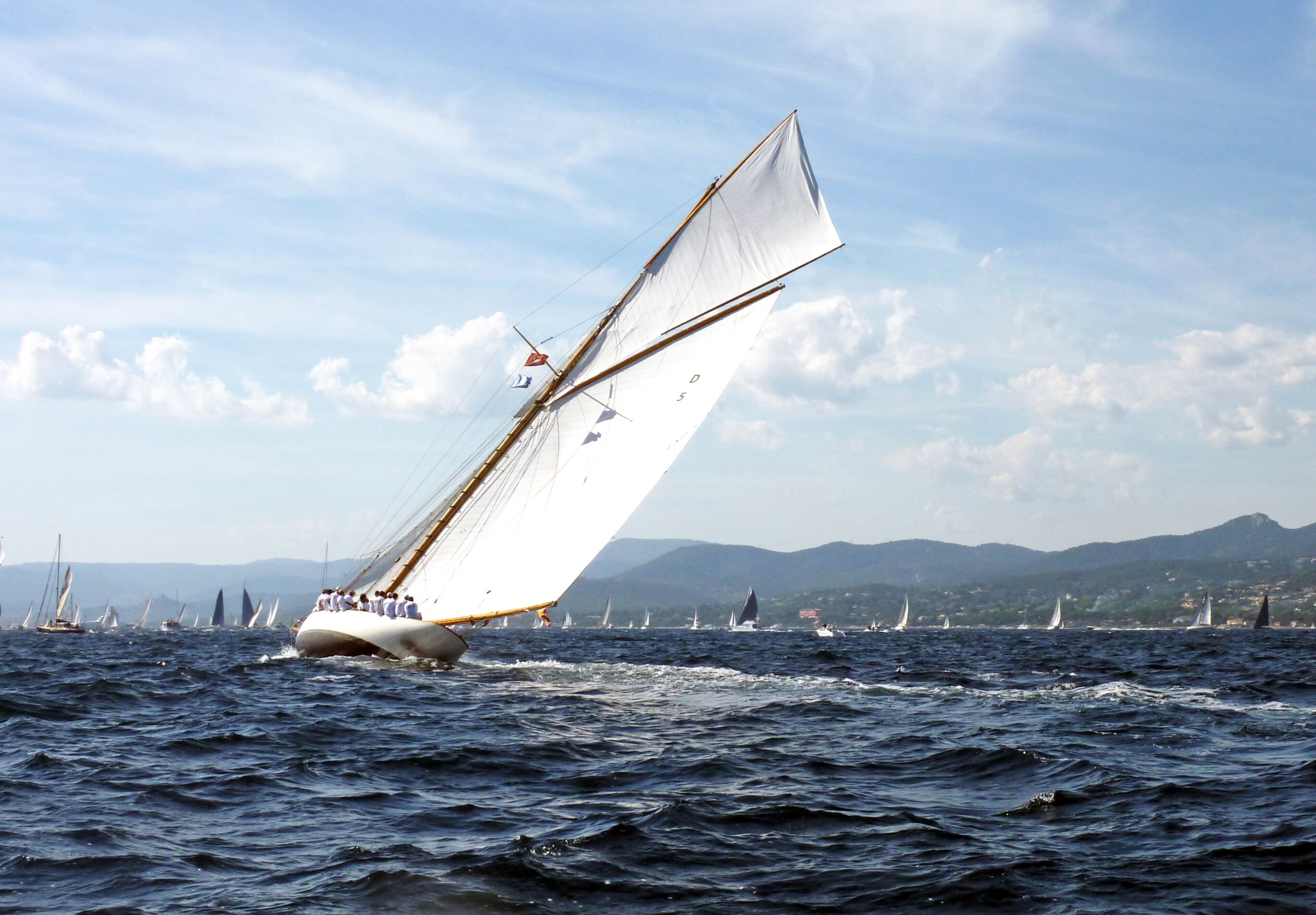 Un voilier doté de plusieurs voiles navigue sur une étendue d’eau, entouré d’autres voiliers et d’une côte lointaine.