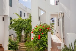 A narrow alleyway with white buildings, a small garden with red flowers, and a tiled pathway.
