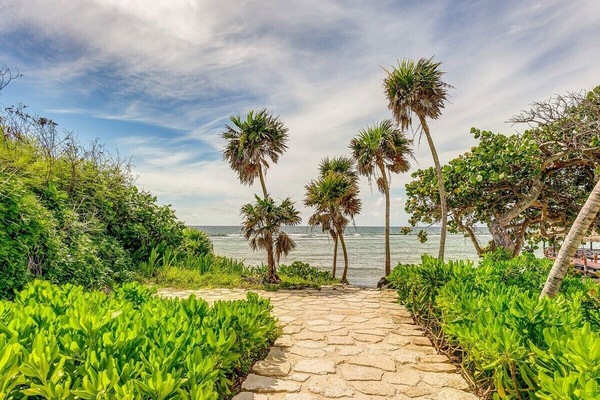 The property is surrounded by gorgeous walking trails where you can connect with nature