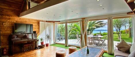 Una televisión, una chimenea, libros, un reproductor estéreo