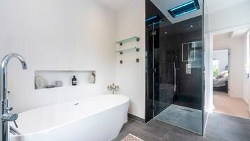 Shower, hair dryer, towels