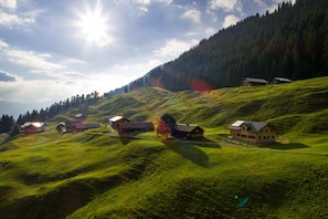 Un paysage rural avec plusieurs maisons en bois situées sur des collines douces, entourées de forêts denses.