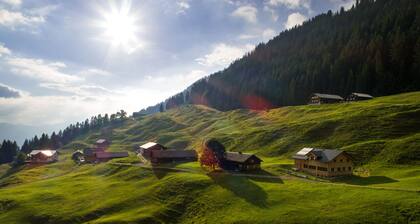 Luxury chalet/seminar vacation home with sauna, in the mountains of the Bregenzerwald