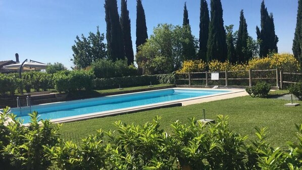 A rectangular swimming pool surrounded by well-maintained grass and various trees, including tall cypress trees.