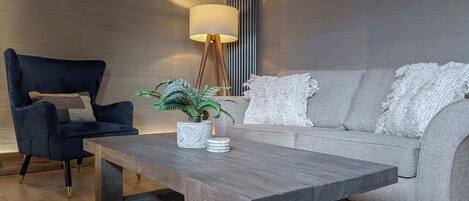 Télévision, cheminée, espaces bureaux