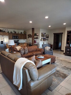 テレビ、暖炉、DVD プレーヤー、書庫