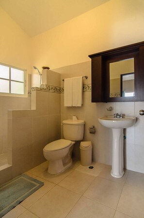 Shower, towels, soap, toilet paper