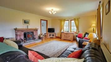 Tv, pejs, dvd-afspiller, bordfodbold