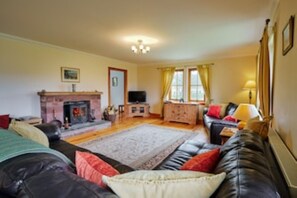 Tv, pejs, dvd-afspiller, bordfodbold