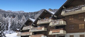 Le Rêve de nos Petites Marmottes