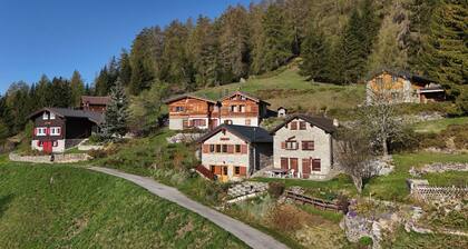Tiny House facing the Alps - Ski in and out