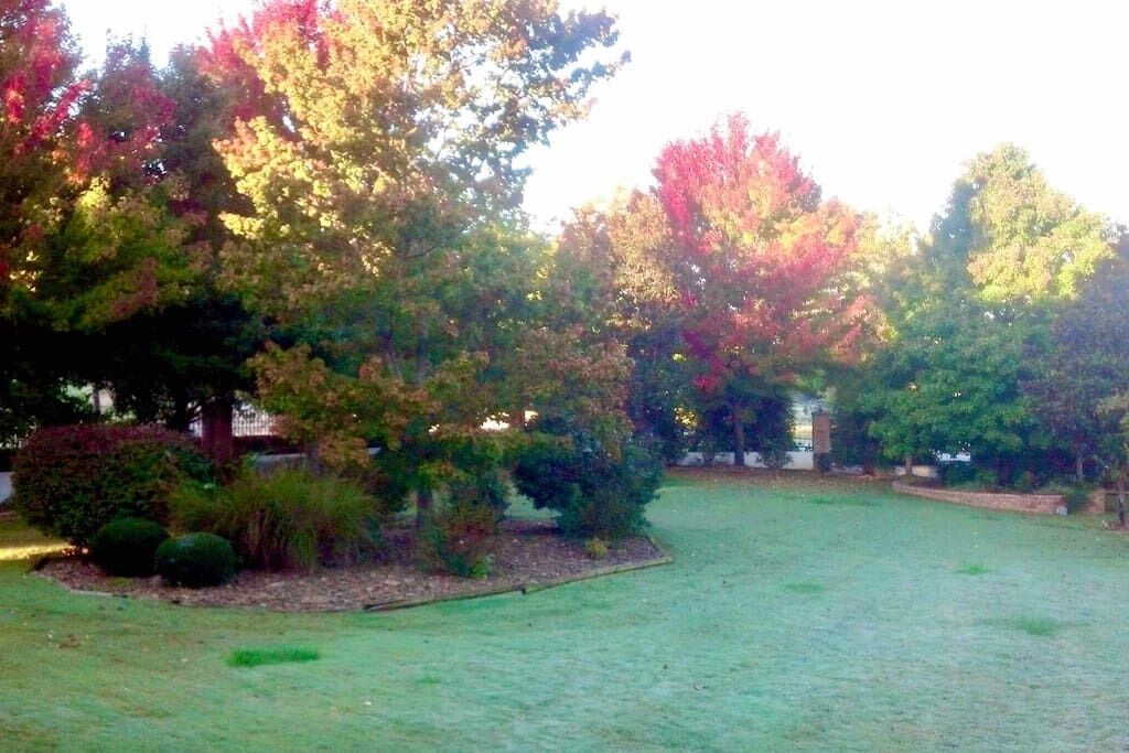 A grassy yard with trees and shrubs.