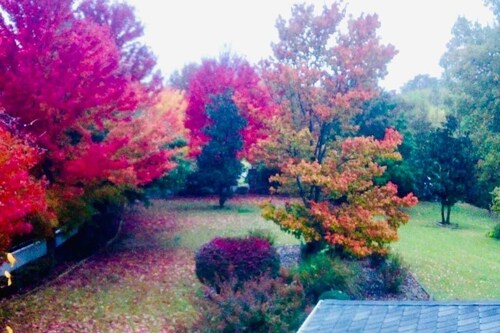 The Freedom Estate on Hamestring Creek