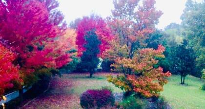 The Freedom Estate on Hamestring Creek