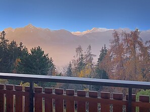 Property grounds - Lift Bear Lodge -4 Valleys- Swiss Alps (Les Agettes)