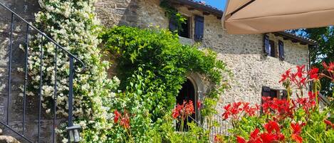 Détail de l’extérieur