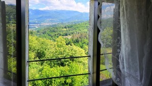 Una ventana con vista a un paisaje verde y montañas.