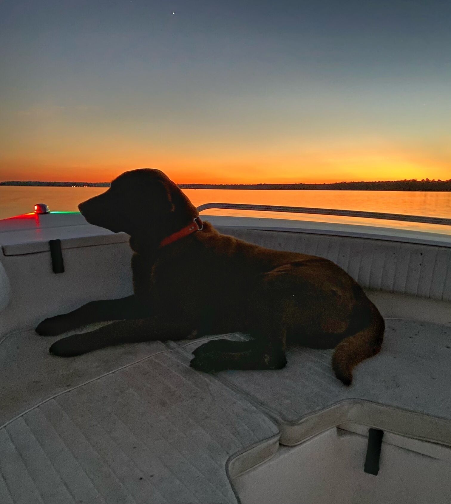 Pet Friendly house on Fish River, private pier with kayaks