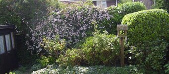 Frinton on Sea, Rook View Family House. <br><br>