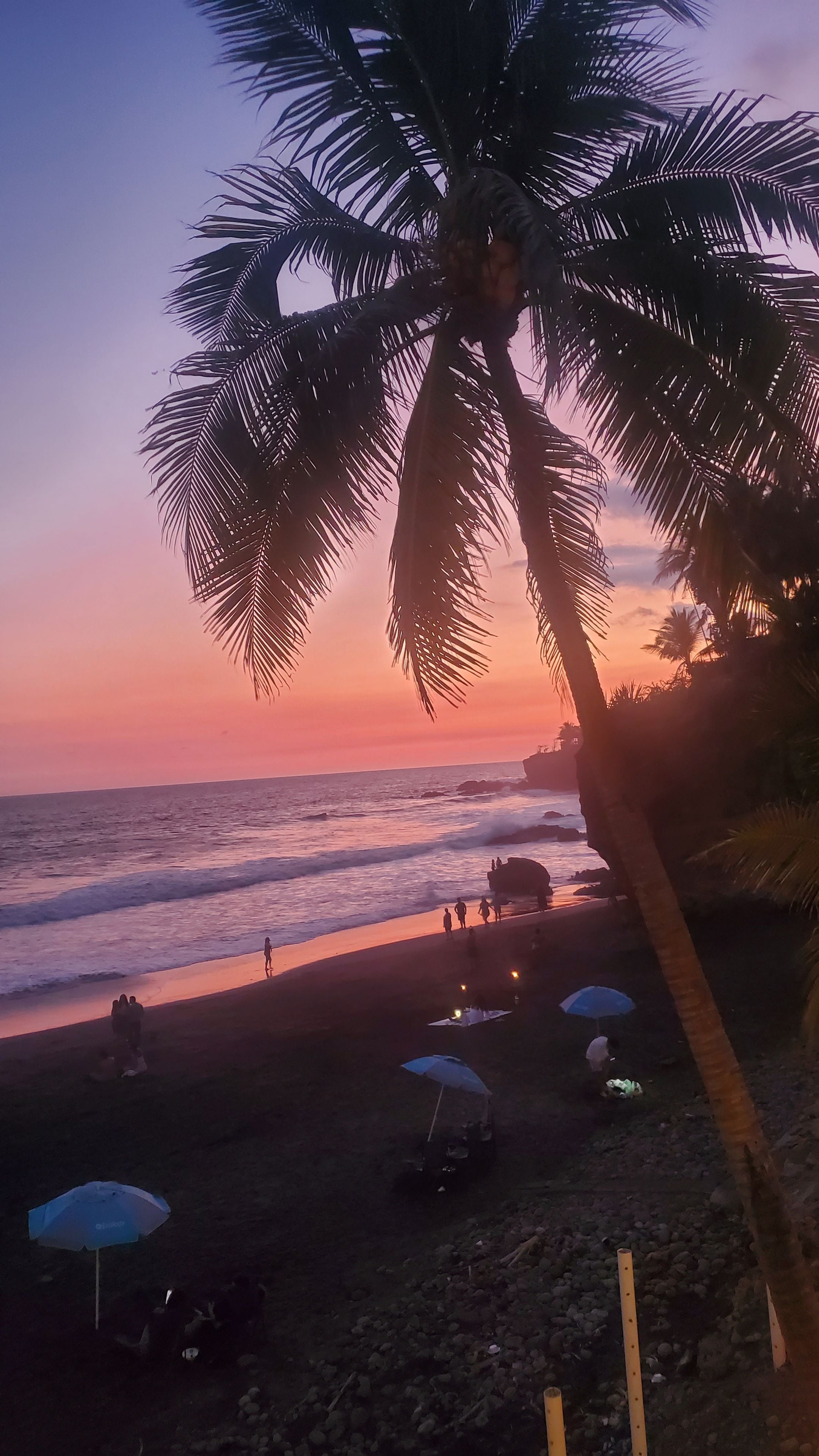 A beach scene with palm trees, a sunset, and people on the sand.