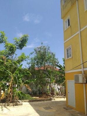 Un bâtiment jaune avec un petit jardin, un chemin en béton et un arbre aux feuilles vertes.