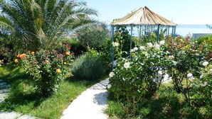 Un jardin agrémenté d’un kiosque, d’un sentier et de diverses plantes.