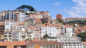 A cityscape with densely packed buildings, a prominent tree on a hill, and a clear blue sky. - Lisbon Skyline Apartment by Misha s Place 5E (Lisbon)