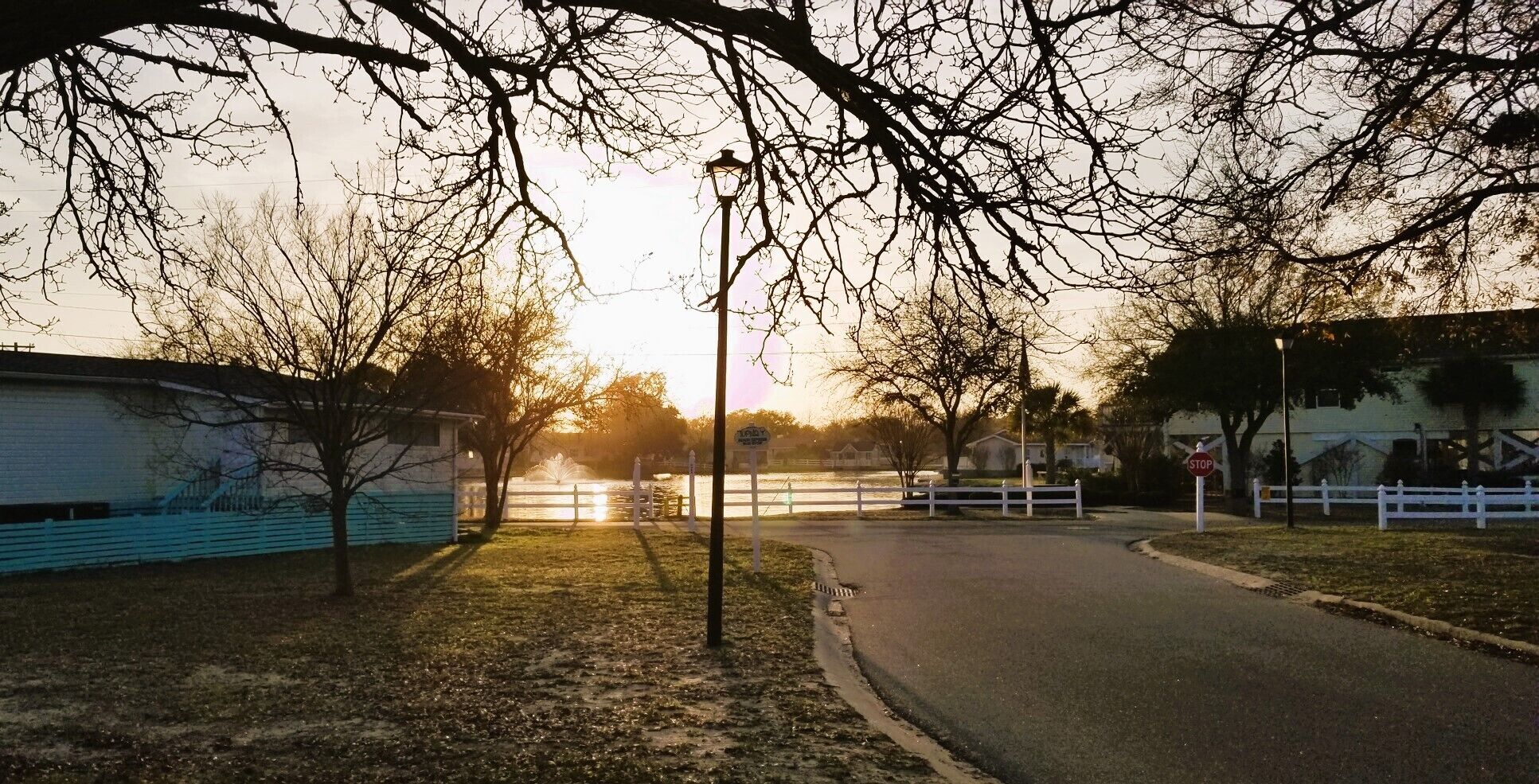 A quiet street at sunset with bare trees, a stop sign, and a white fence.