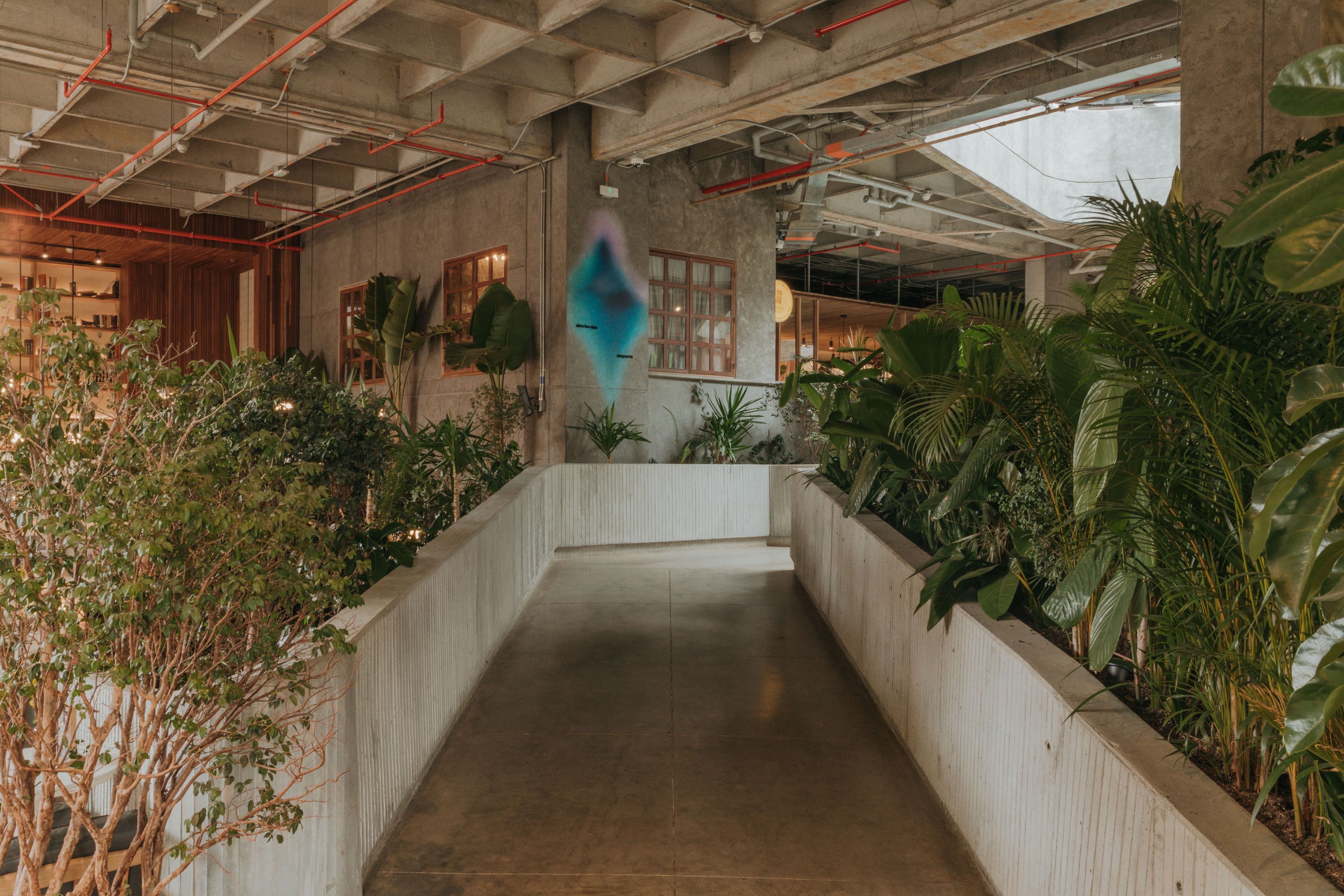 A modern interior with a concrete floor, wooden accents, and lush green plants.