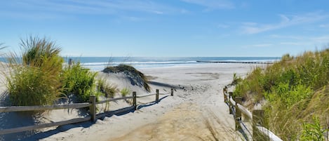 Una spiaggia nelle vicinanze