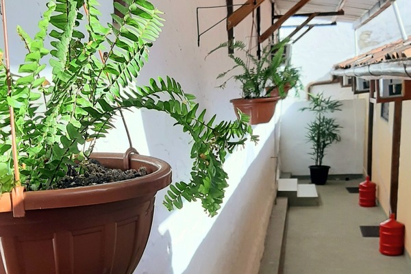 Standard Room | Terrace/patio