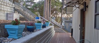 Cozy Camano Island Retreat & Gallery w/beach access.