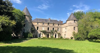Chateau de la Mothe