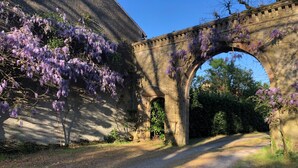A stone bridge with arches, a dirt path, and purple wisteria vines. - Chateau de la Mothe (Saint-Sulpice-en-Pareds)