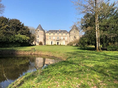 Chateau de la Mothe