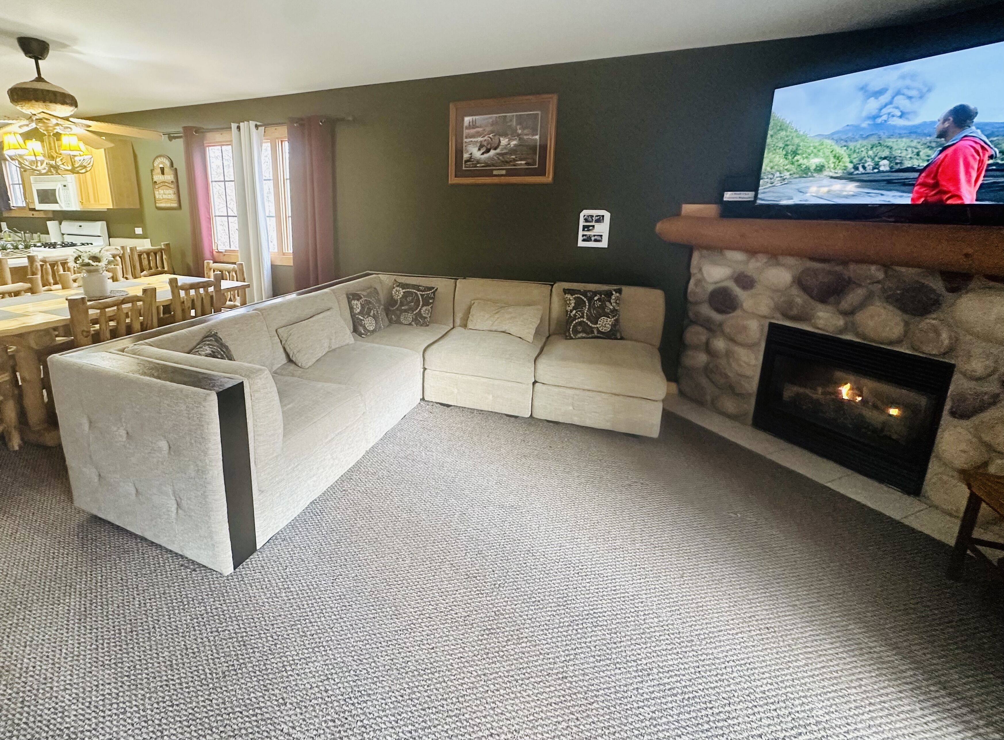 Smart TV, fireplace, video games, books