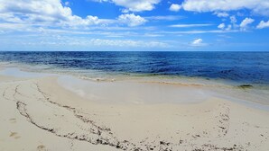 A beach with clear skies and calm waters. - Perfect Cozumel escape, pool, private beach on quiet north shore (San Miguel de Cozumel)