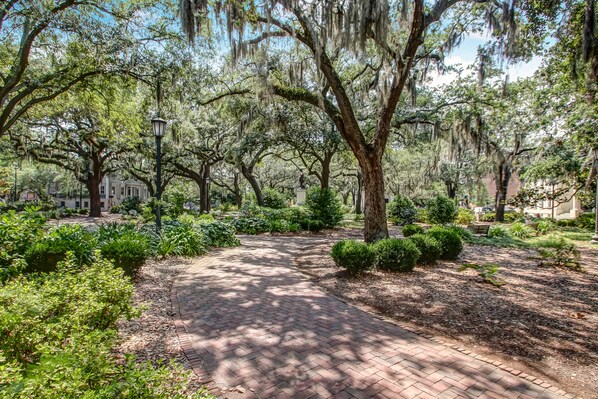 A brick pathway surrounded by lush greenery and trees with Spanish moss.